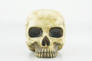 Close up of Human skull sculpture on isolated white background
Front view of human skull
