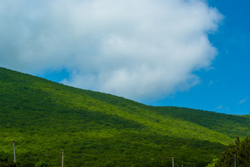 Fototapeta premium green hillside on a summer day