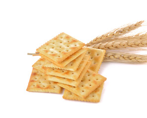 Saltine cracker  on white background