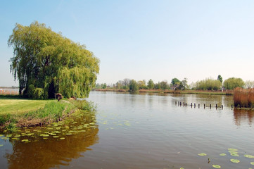 Fototapeta na wymiar Dutch lake landscape with grass fields and trees