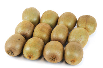 kiwi on white background