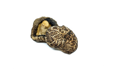 Dry Mushrooms isolated on white background