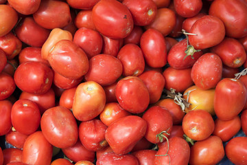 Fresh red tomatoes