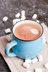 cup of cocoa with marshmallows, closeup