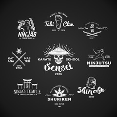 Set of Ninjutsu Logo. Sensei skull t-shirt illustration concept on gray background. Japanese Katana weapon insignia design. Vintage MMA badge. 