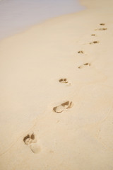 Footprints