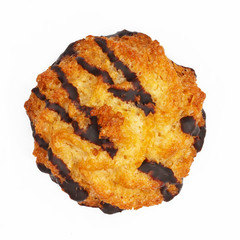 chocolate chip cookie isolated