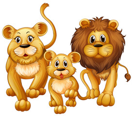 Fototapeta premium Lion on family with cute cub