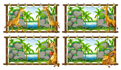 Four scenes of giraffe by the lake