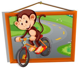 Monkey riding bicycle on the road