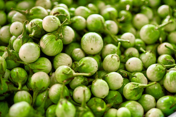 Vegetables Background. Close Up Of Organic Thai Eggplants ( Cockroach Berry, Thai Round Green, Solanum Melongena L. ) In The Farmers Market In Thailand, Asia. Nutrition. Healthy Food Ingredient.