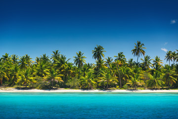 Fototapeta na wymiar Palm trees on the tropical beach, Saona Island, Dominican Republ