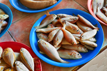 Seafood. Fish Market. Close Up Of Variety Of Fresh Caught Raw Different Species Fish At Market In Thailand, Asia. Healthy Food Eating. Nutrition, Diet And Vitamins.
