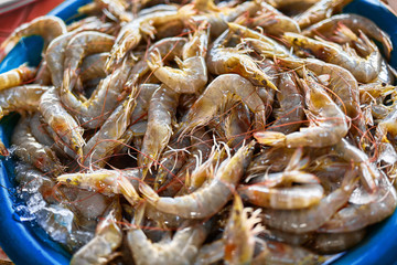Seafood. Close Up Of Fresh Caught Gourmet Shrimps ( Prawns, Crustacean ) At Fish Market In Thailand, Asia. Healthy Food Ingredient. Nutrition, Diet And Vitamins.