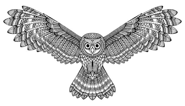 Vector hand drawn flying owl. Black and white zentangle art