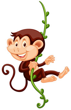 Little monkey climbing up the vine