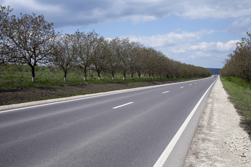 Naklejka premium Main road.