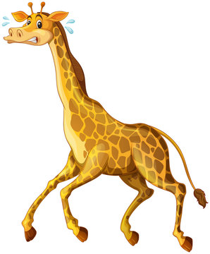 Giraffe running away from something