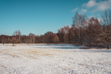 Fototapeta na wymiar Open farm field with snow in winter