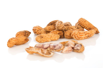 nut isolated on the white background , selective focus