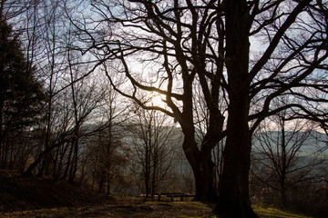 Abendstimmung am Albtrauf
