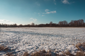Evening light on a snow covered field