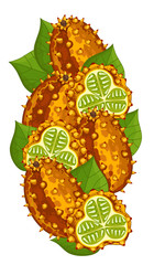 Horned Melon Isolated, Horned Melon Vector. Composition of Horned Melon on white background. Half Horned Melon. Organic food, citrus fruit. Natural food. 
