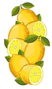 Lemon Isolated, Lemon Vector. Composition of Lemon on white background. Fruit set. Juicy Lemon, Lemon Slice. Fruit Composition for Packaging Juice or packaking Tea.