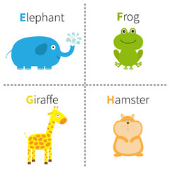 Letter E F G H Elephant Frog Giraffe Hamster Zoo alphabet. English abc with animals Education cards for kids Isolated White background Flat design
