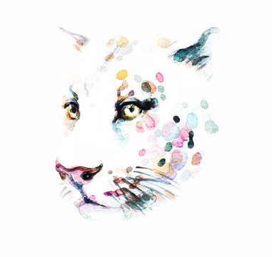 Leopard. Watercolor illustration