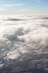 aerial view of the forest in winter time