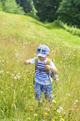 kleiner Wanderer in grüner Wiese unterwegs