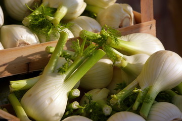 Finocchio