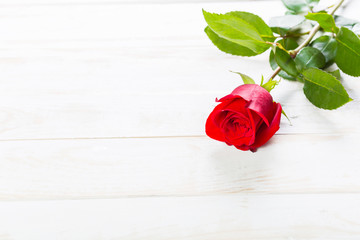 St. Valentine's day gift