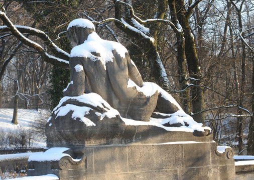 Adonis schneebedeckt