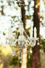 chandelier wedding decoration outdoor on ceremony  in forest - 101110206