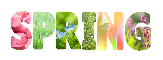 Selbstklebende Fototapete Frühling Wortfrühling mit bunten Naturbildern innerhalb der Buchstaben,