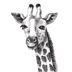 Gordijnen Hand drawn giraffe portrait © Marina Gorskaya