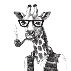 Fototapety  Ręcznie rysowane ilustracja hipster żyrafa