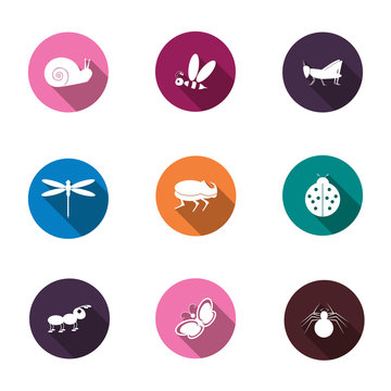 A set of colorful icons isolated insects for your design