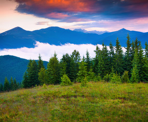 Colorful summer scene in the Carpathian mountains.