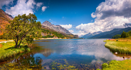 Sunny summer panorama of the Silsersee lake