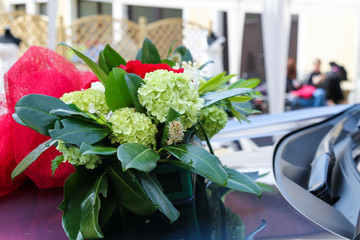 Flowers with green leaves
Flowers with red lace background.