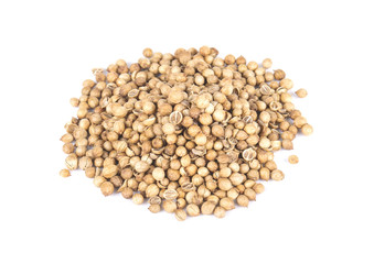 Coriander seeds on white background.
