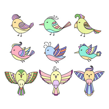 Set of 9 color cute birds in vector. Birds doodle collection.