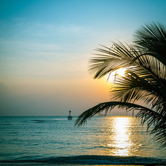 Fototapeta premium Silhouette of palm tree with beatuful sunset on koh pangan