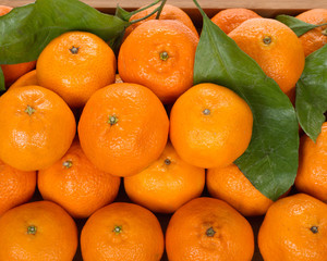Tangerines on wooden plate