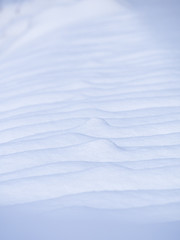 Obraz premium 白い雪紋