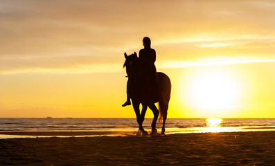 Silhouette of horseriding along the Baltic sea coastline on suns