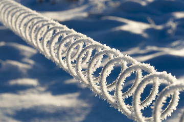 Coiled Wire Covered in Frost